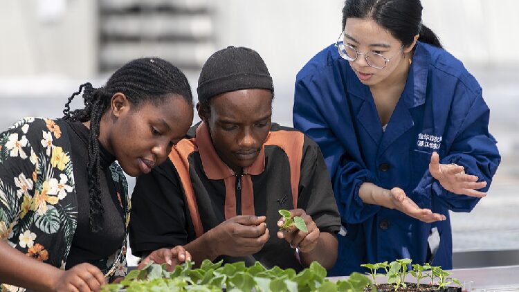 # - My News! China Africa Issue Changsha Declaration on Global South Cooperation