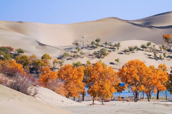 # - My News! China Central Asian Nations to Turn More Deserts into Oases
