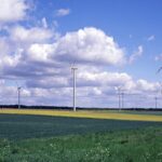 China and Eu Can Lead Global Energy Transition 