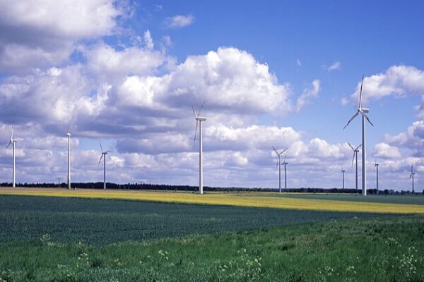 # - My News! China and Eu Can Lead Global Energy Transition