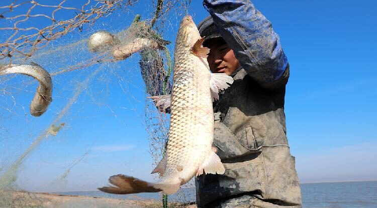 # - My News! China on the Fishing Boats a Portrait of Ocean Life