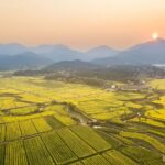 China to Mark Cultural and Natural Heritage Day with Event in Changsha 