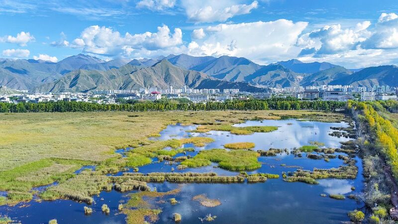 Xizang’s Ecological Environment Remains Pristine and Thriving China's Xizang maintains stable ecological environment in 2024
