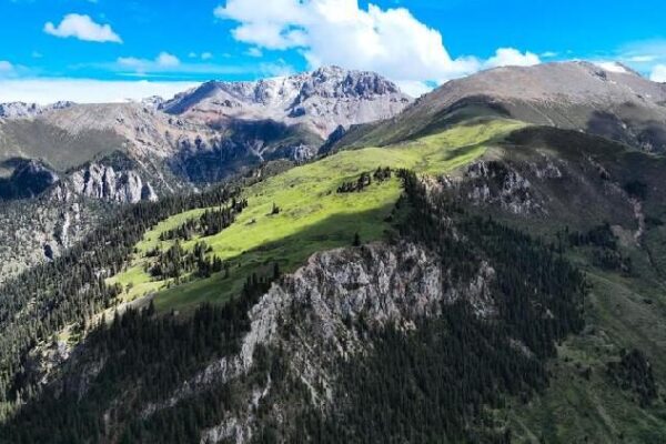 # - My News! Chinas Role in Ecological and Global Environmental Governance