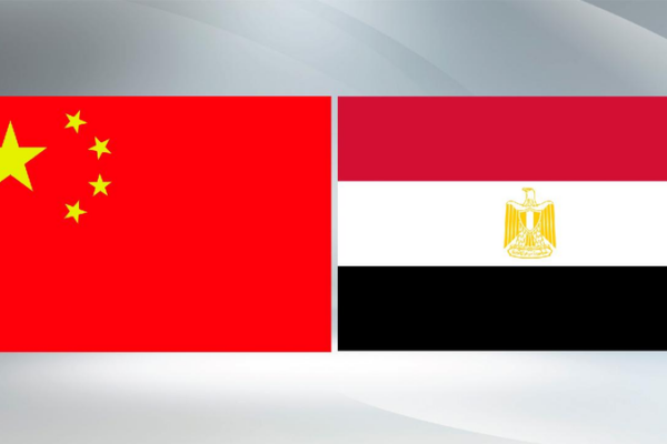 Chinese Egyptian Fms Voice Grave Concern About Middle East Situation 