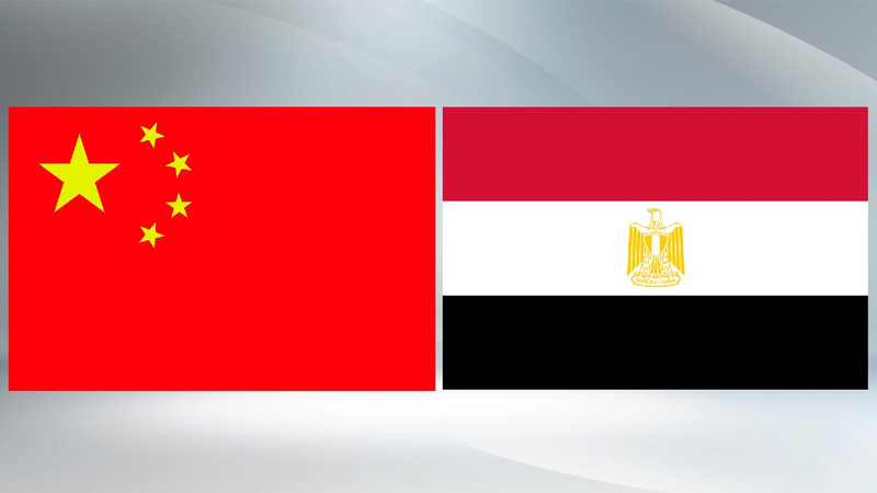 # - My News! Chinese Egyptian Fms Voice Grave Concern About Middle East Situation