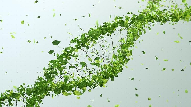 # - My News! Chinese Israeli Scientists Develop New Approach for Genetic Editing