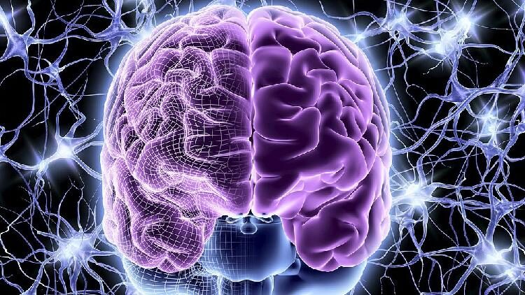 # - My News! Chinese Researchers Develop Cocktail Hydrogel for Brain Injury Therapy