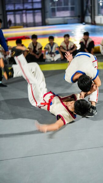 # - My News! Chinese Wrestling a 3000 year Legacy of Leverage Video Poster