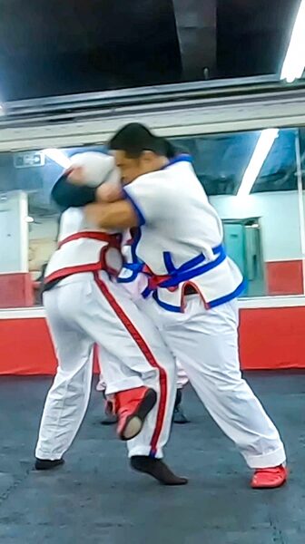 # - My News! Chinese Wrestling the Peoples Art of Skill and Balance Video Poster