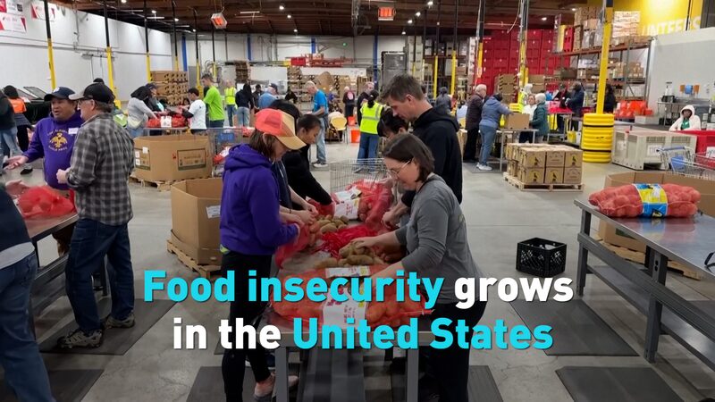 Food Insecurity Soars in the U.S., Millions Struggle to Eat Food insecurity grows in the United States video poster
