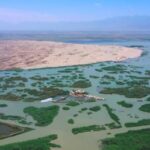 Greening the Tengger Desert Video Poster 
