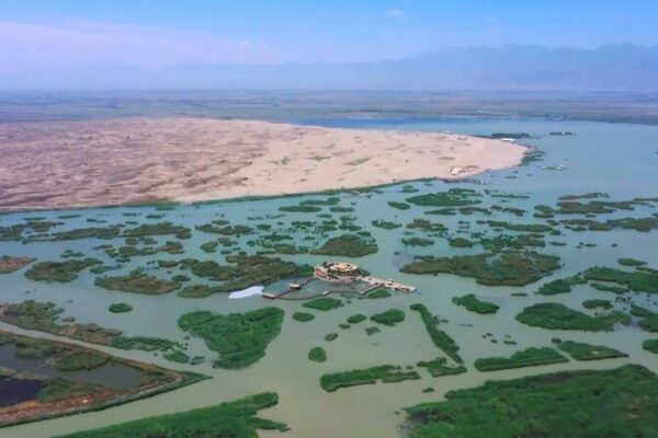 # - My News! Greening the Tengger Desert Video Poster