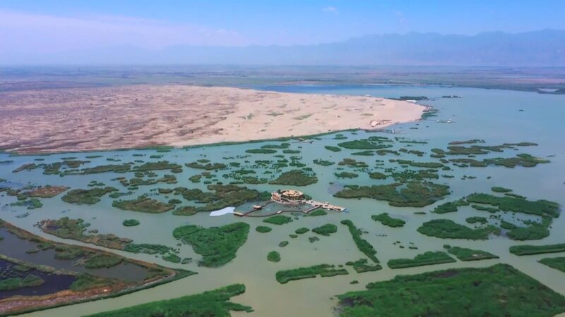 Greening the Tengger Desert Video Poster 