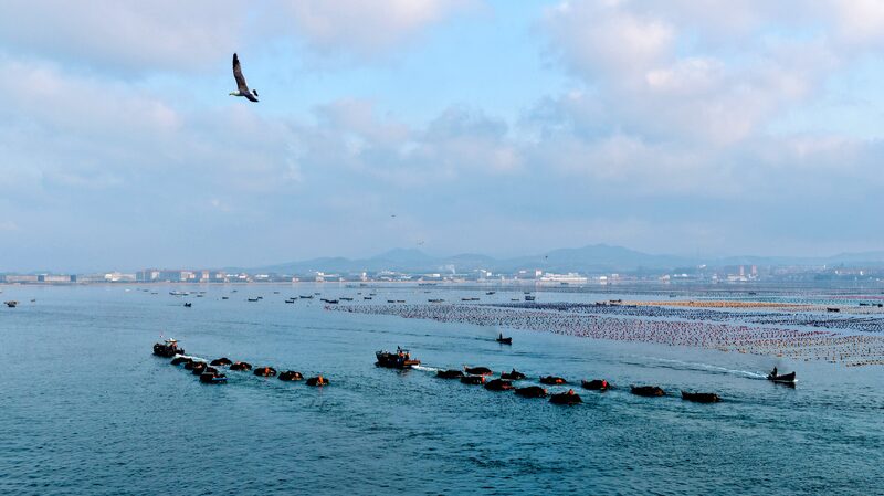 # - My News! How Xi Jinping Charts Chinas Path to Becoming Strong Maritime Country