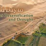 Land Restoration Unlocks Green Opportunities 