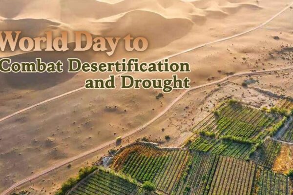 Land Restoration Unlocks Green Opportunities 