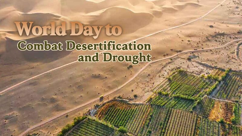 # - My News! Land Restoration Unlocks Green Opportunities