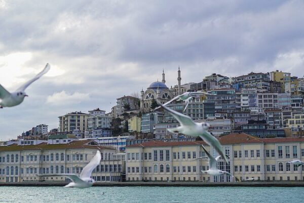 # - My News! Live Latest on Peace Talks Between Russia Ukraine Video Poster