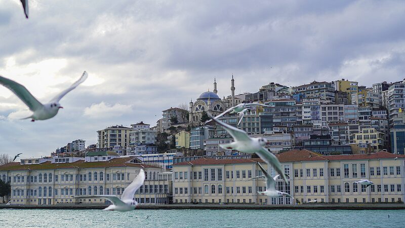 Live Latest on Peace Talks Between Russia Ukraine Video Poster 