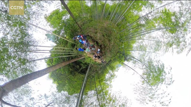 Nature Takes You for a Spin: Trail Running in Anji’s Bamboo Forest Nature takes you for a spin video poster