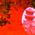 Nighttime Light Show Revives Imperial Glory of Shenyang Palace 