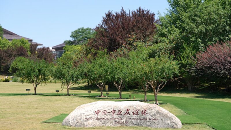 # - My News! Pomegranate Trees in Xian Connect China and Central Asia Video Poster