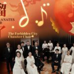 Pomegranate Vibes a Musical Silk Road Adventure Video Poster 