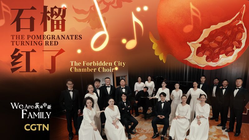 # - My News! Pomegranate Vibes a Musical Silk Road Adventure Video Poster