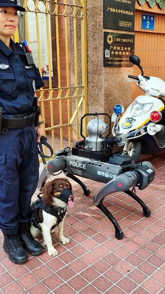 # - My News! Real Vs Robotic an Encounter Between Two Police Dogs Video Poster