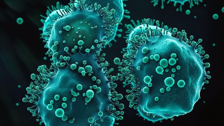 Researchers Launch Pioneering Trial Targeting Untreatable Cancers 