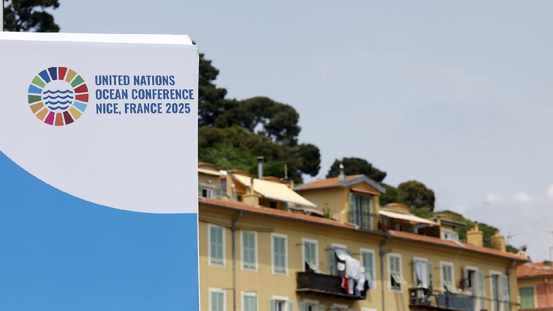 # - My News! Scientists Call for Urgent Ocean Action at Nice Congress