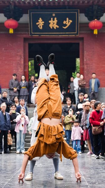 # - My News! Shaolins Erzhichan a Stance of Unthinkable Strength Video Poster