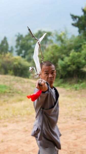 Shaolin's nine-section whip: Where softness and hardness meet video poster