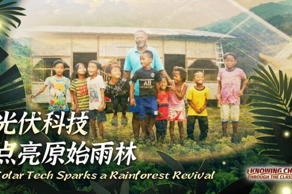 Solar Tech Sparks a Rainforest Revival video poster