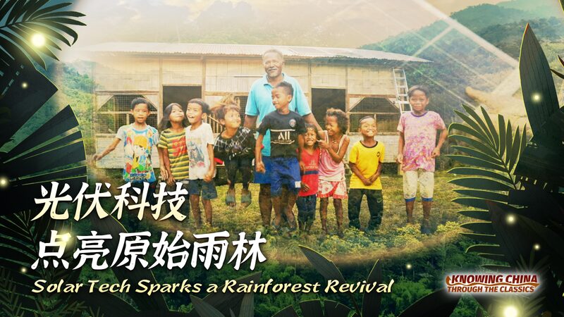 Solar Tech Sparks a Rainforest Revival Video Poster 