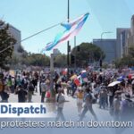 Stringer Dispatch no Kings Protesters March in Downtown La Video Poster 