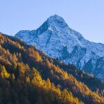 Study Finds Grassland Carbon Sink Mechanism in Qinghai tibet Plateau 