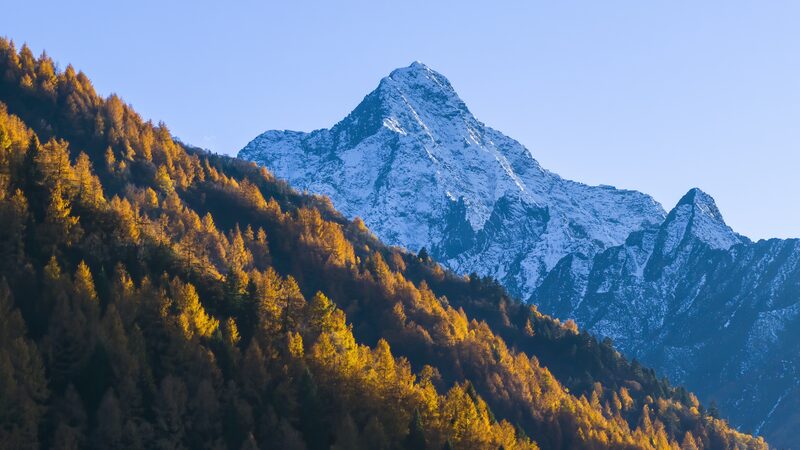 # - My News! Study Finds Grassland Carbon Sink Mechanism in Qinghai tibet Plateau