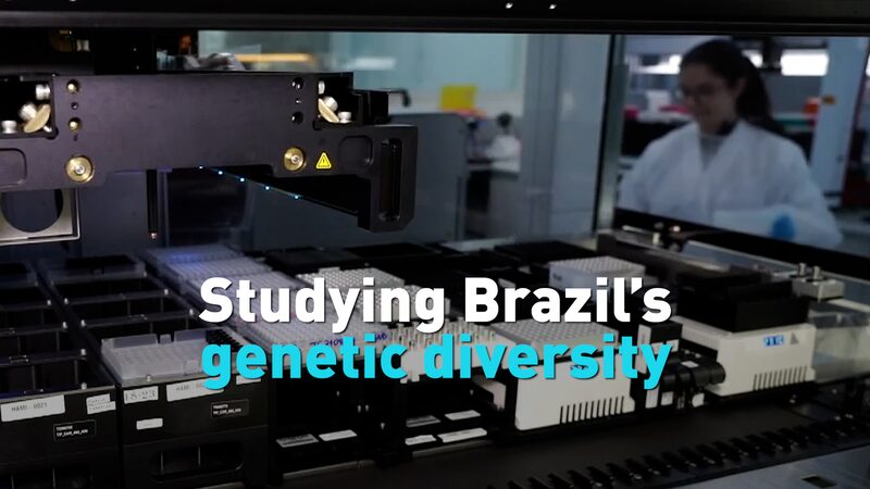 # - My News! Studying Brazils Genetic Diversity Video Poster