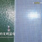 Sunlight Powering a Shared Aspiration Video Poster 