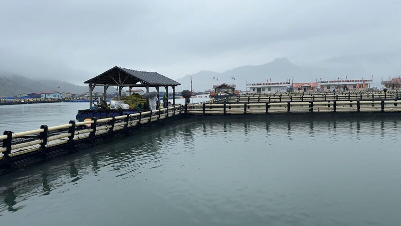 Sustainable Shift in Sanduao Honoring World Ocean Day Video Poster 