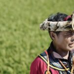 Taiwan Through the Ages the peony Ancient Ballads 