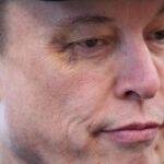 Tesla Executives Questioned Musk over $25k Ev Denial Sources Say 