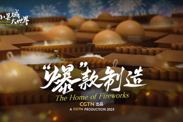 the Home of Fireworks Video Poster 
