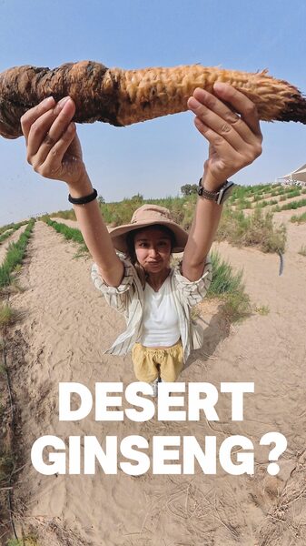 # - My News! the Desert Ginseng Fighting Desertification One Root at a Time Video Poster