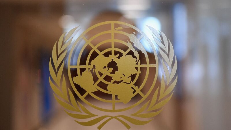 # - My News! Unctad Says It Faces painful Cuts As Countries Navigate Tariffs
