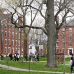 Us Federal Judge Allows Harvard to Host Foreign Students 