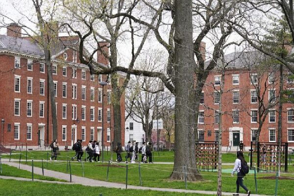 # - My News! Us Federal Judge Allows Harvard to Host Foreign Students