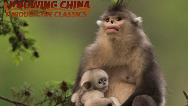 # - My News! World Environment Day | Safeguarding Our Shared Home